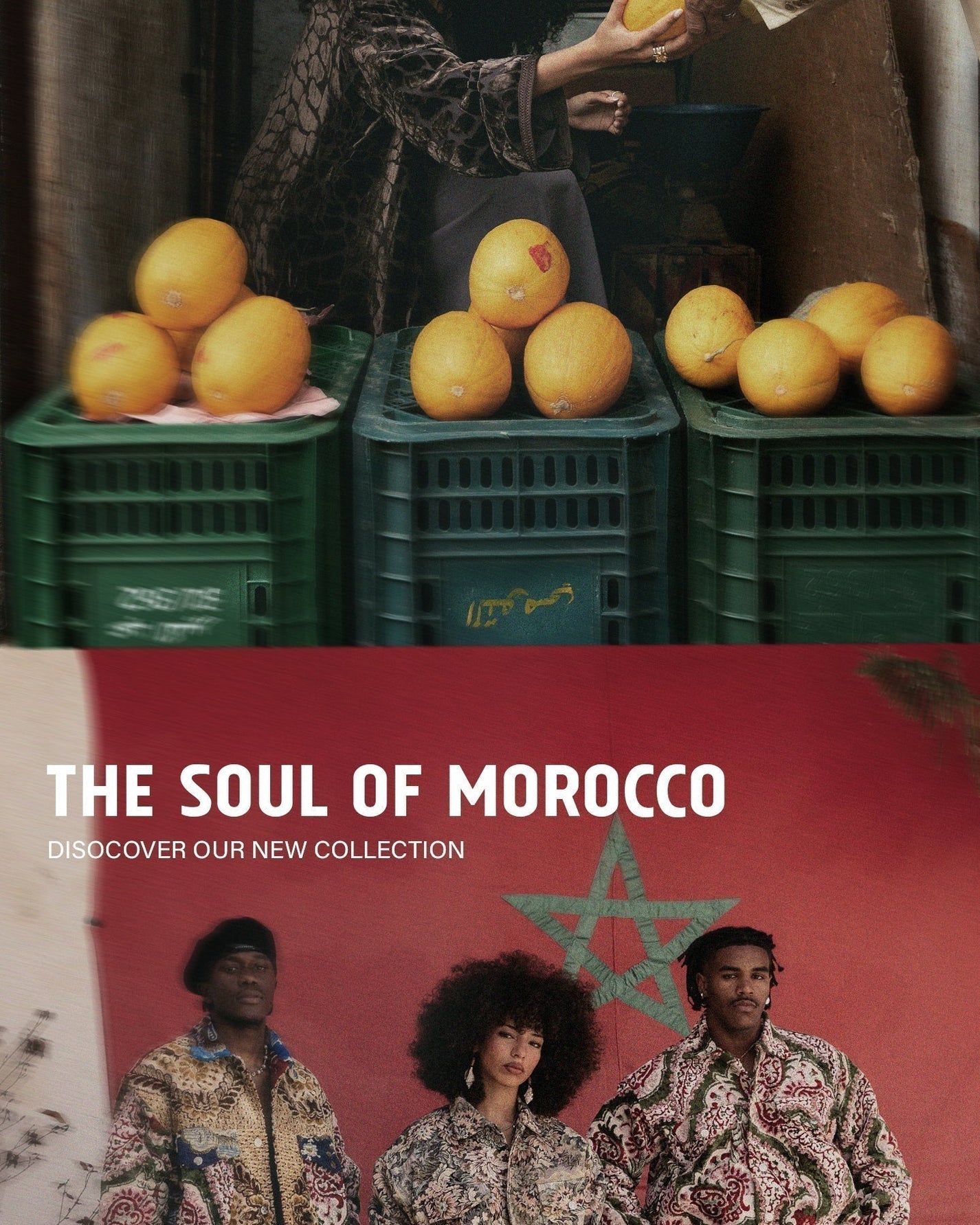 Verwurzelt in Marokko